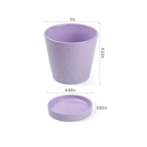 Encuentra reviews de Donde comprar macetas Top diez. 2 Imagen adicional