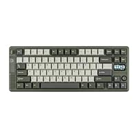 EPOMAKER RT85 Wireless Mechanical Keyboard with Joystick & DIY Screen, 8000mAh, BT/USB/2.4Ghz, Gasket, 5-Layer Paddings, Hot-Swap, PBT Keycap, 75% Gaming Keyboard (Army Green, Wisteria Linear)