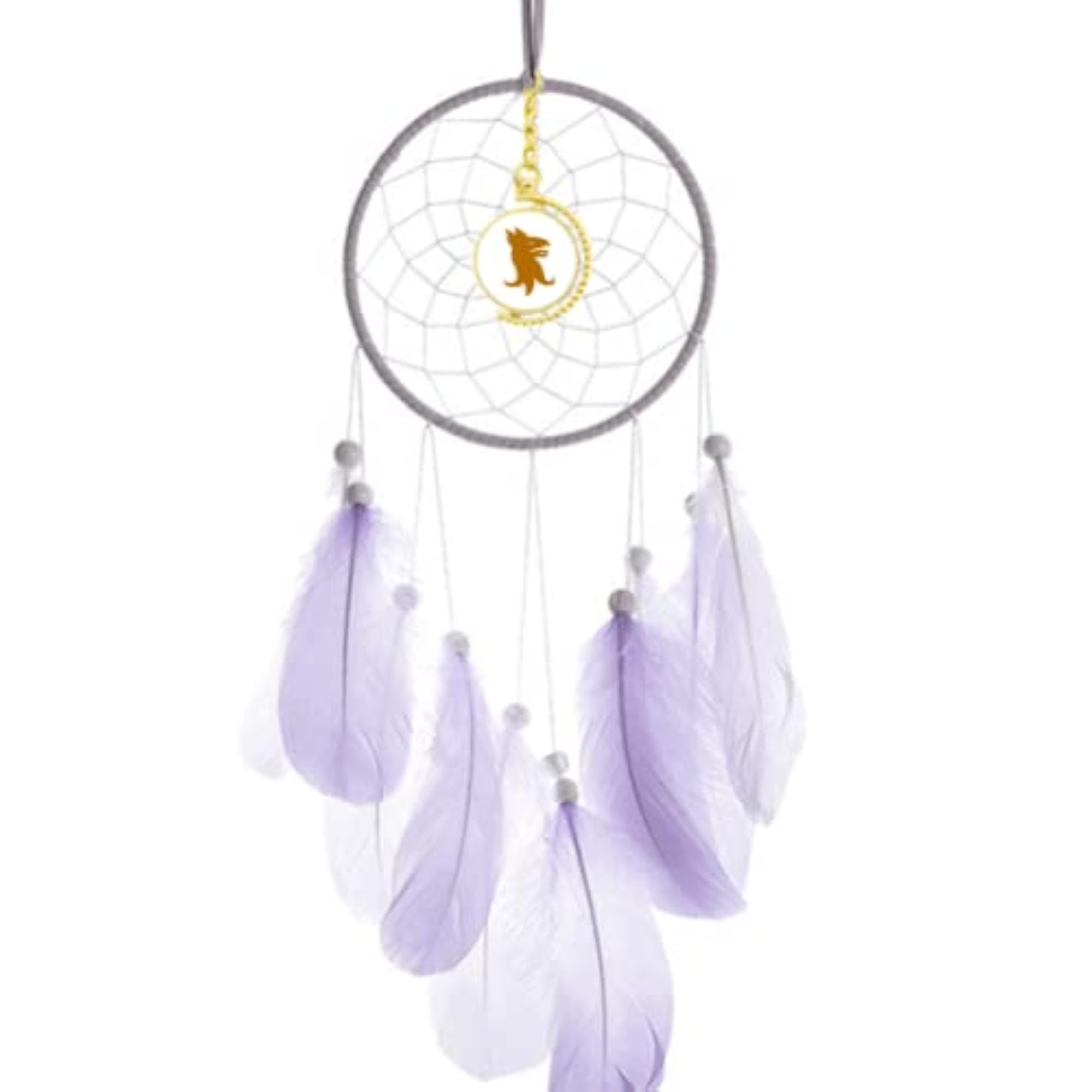 External Ferocious Ability Dream Catcher Wall Hanging