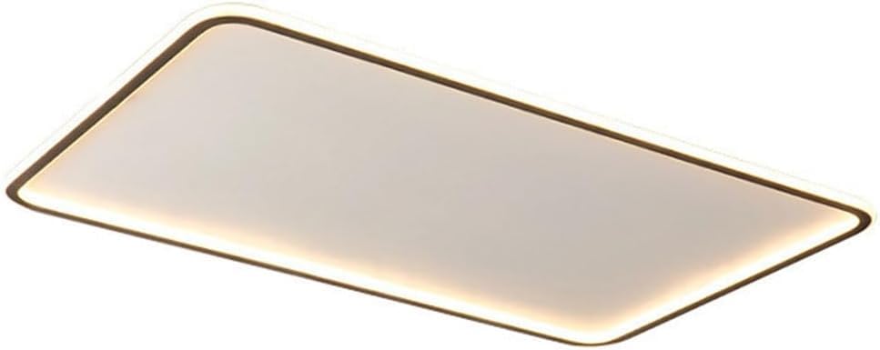 Plafonnier plaque acrylique blanche luminaire de jour 5000K noir pour salon