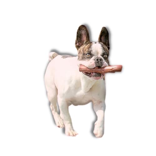 Graveto Ultra Resistente de Nylon M Brinquedo Mordedor Para Cachorro Cães Pet 14x3cm - Petmaxx