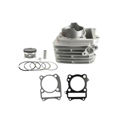 Kit joints bloc-cylindres résistant à la chaleur pour réparer fuite moteur DR 200 SE DF 200