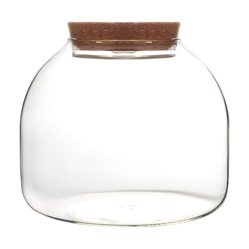 Terrarium en verre pour plantes, 1600 ml avec couvercle en liège, grande ouverture pour mini plantes grasses, paysage, présentoirs floraux, pot