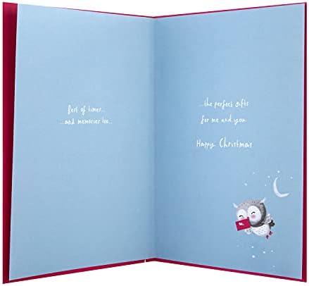 Hallmark Christmas Card for Wife - Cute Illustrated Owls Design