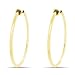 Aloha Earrings Gold Tone Plated Brass Spring Hoops Earrings Clip On, Hoops for Women, Unpierced (Gold Large)