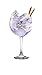 Gin Puerto de Indias - BlackBerry Premium Gin - Ginebra Premium de...