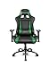 Drift DR150BG - Silla Gaming Profesional, (Poilipiel Alta Calidad, Ergonómica), Color Negro/Verde