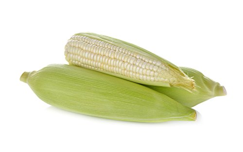 Seed Kingdom Country Gentleman White Corn