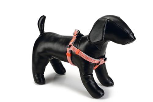 Beeztees triángulo de Nylon arnés del Perro