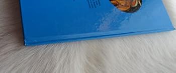 Hardcover Who Framed Roger Rabbit: Movie Storybook Book