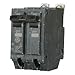 General Electric THQB21100 2 Pole, 100 Amp, 120/240V Circuit Breaker (Pack of 10)