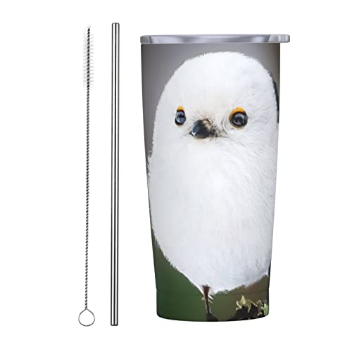 V}GiK 킢   kC Xg[&Xg[uVt }OJbv R[q[Jbv 600ML RrjJbv ^u[ XeX ۗ ۉ ԗp Wt ^  e  Aj v[g ju40