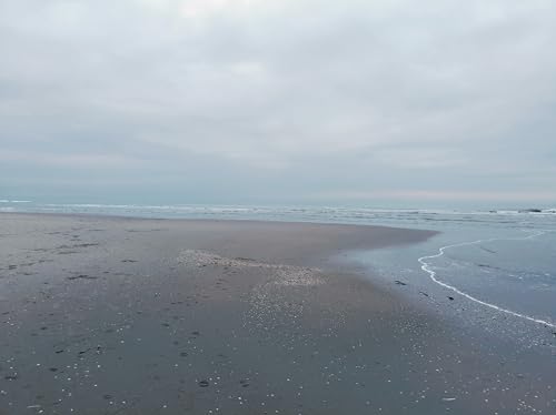 Christian Alsemgeest