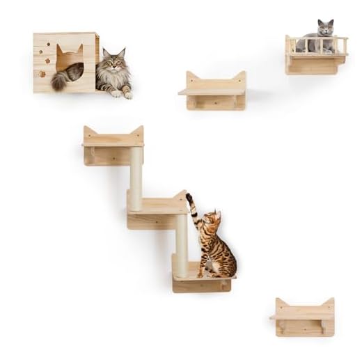 MIUZMORE Pino Gatos Pared, Juego de 5 estantes de Pared para Gatos, Rascador para Gatos con 3 Escalera para Gatos, Percha para Gatos, Casa para Gatos - Estanterías para Gatos