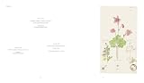 Hilma AF Klint: What Stands Behind the Flowers