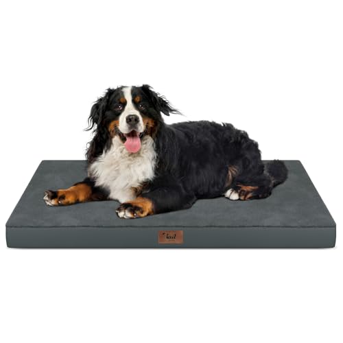 Image of Outdoor Extra Large Dog Bed XXL for Giant Breed Dogs | Egg Crate Orthopedic Foam, Fits 48x30 Crates, TPU Waterproof Layer, Machine Washable 1680D Oxford Cover, Up to 110 lbs