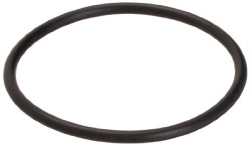 Zodiac 84-776 O-Ring Replacement