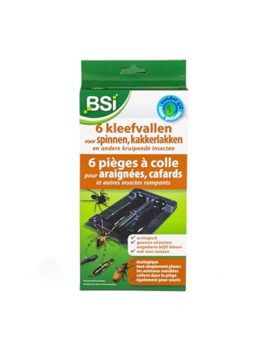 BSI - 6 Pieges - A Colle - Anti-Nuisibles - Pour Araignees - Cafards Et Autres Insectes Rampants, Noir