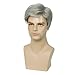 Baruisi Men Wigs Short Gray Synthetic Heat Resistant Natural Halloween Cosplay Hair Wig