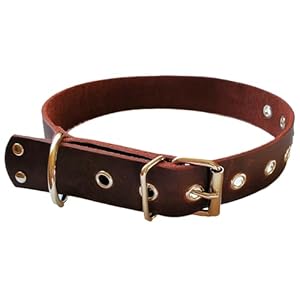 Top Grain Leather Dog Collar, Neck Size 15″-23″ Width 1.25″ (Brown)