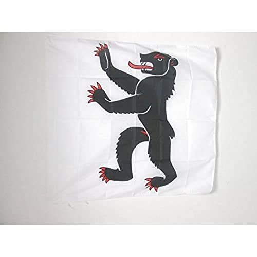 AZ FLAG, Canton of Appenzell Ausserrhoden Flag, 3x3 Ft, 100% Polyester Appenzell Ausserrhoden, AR Banner with Sleeve