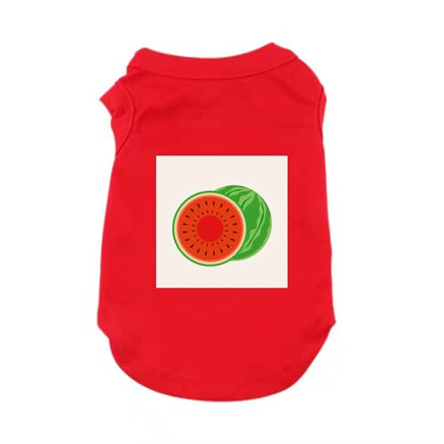 [XANPYO] M ybg ̕  t  ^Ngbv ybg hbOEFA ^ xXg  _炩 ^ ^ 񂱕 L  ʋC U o ybgpi @bV ^ ^L