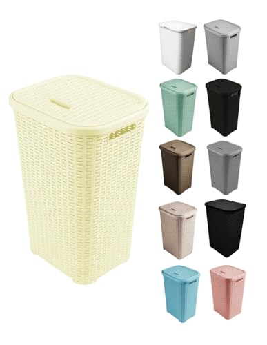 JARDIN202 - Cesto Ropa Sucia Pongotodo con Tapa y Asas | Cesta Colada Plástico Ratán | Cubo Ropa Sucia Ventilado | Baño Dormitorio | 38L/60L | 38 Litros (Blanco)