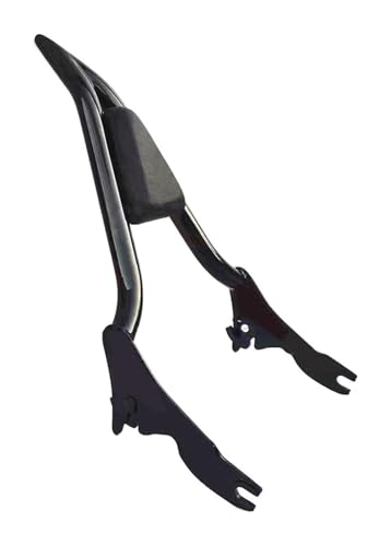 Sissy Bar avec Porte-Bagages Amovible Améliorant le Confort Passager Touring