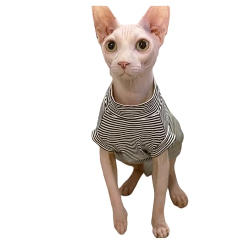UGYMSIA ybg L єL t  ׃XgCṽm[X[uTVcxXg ȑfނ Lk _炩ɗD ʋCƑu₩˔Ă܂ Devon Rex Sphynx Oh[ߗ (ubN,XL)