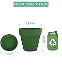 vensovo 6 Inch Clay Pot for Plant with Saucer thumbnail 2