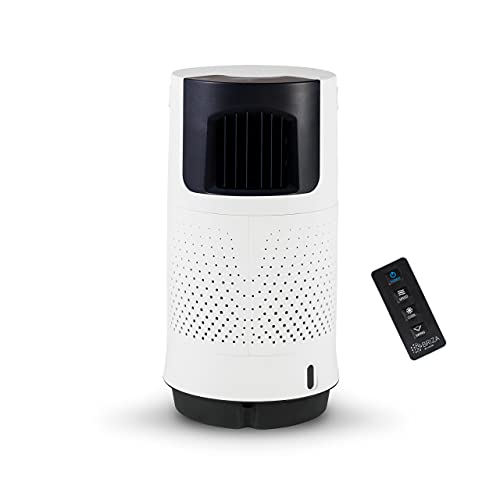 Briza Cool Air Fan - Evaporative Air Cooler - Evaporative Cooler - Swamp Cooler - Air Cooler Fan - Air Cooler for Room - Great for Livingroom, Bedroom, Office - 8 Liter Water Tank - 80Â° Swing Oscillation - 3 in 1 - Remote Included - 3 Speed Fan