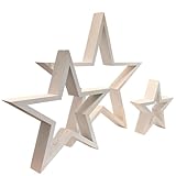 Cadeau parfait pour la famille et les amis qui aiment la décoration naturelle et la lumière chaude