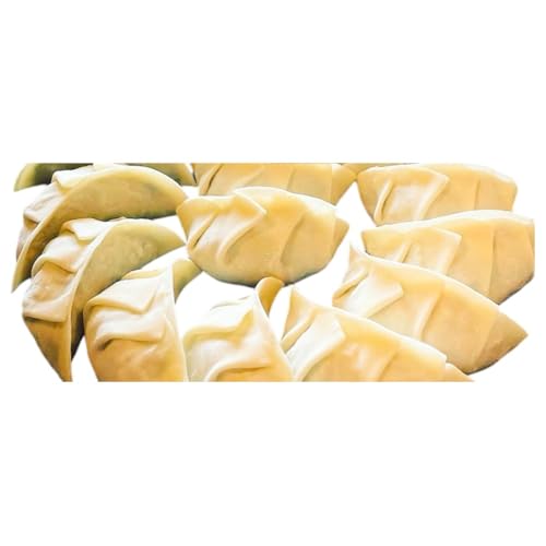 幸之助餃子60個入り タレ付き 野菜たっぷり 薄皮 手包み 静岡 浜松市