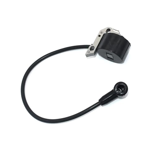 Bobine d'allumage BR420 SR420 4203 400 1301 pièce souffleur atomiseur