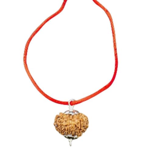 Graine Rudraksha 12 Mukhi Népal en argent pour retrouver clarté et confiance