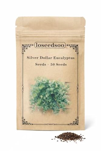loseedsoo 50 Silver Dollar Eucalyptus Seeds for Planting Eucalyptus Cinerea Tree Seeds Aromatic Evergreen Garden Tree Outdoor Planting Seeds for Garden Yard & Landscaping
