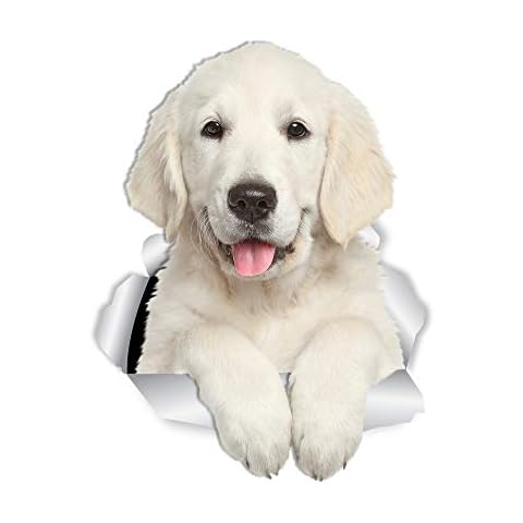 Winston & Bear Pegatinas de Pared de Perro Golden Retriever Cover