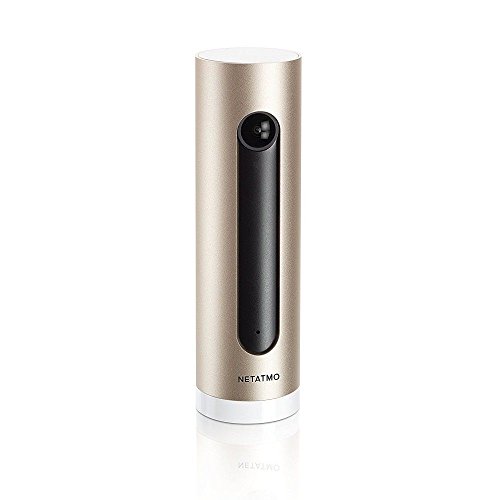 Pass & Seymour Netatmo Smart Indoor Security Camera, WiFi, Movement Detection, Night Vision, Without Fees, NSC01-US (Welcome)