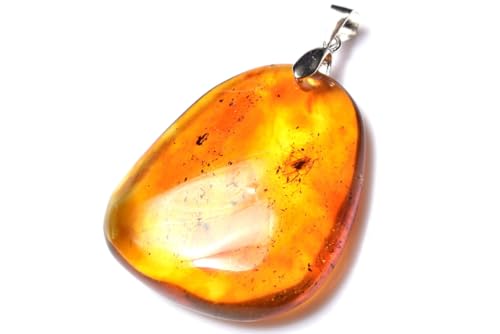 虫入り 琥珀 ネックレス」の人気商品一覧 | 安い商品を通販 虫入り 琥珀 ネックレス」の人気商品一覧 | 安い商品を通販