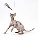 GoCat Da Bird Cat Toy Refill Accessories, Handmade in the USA, Sparkler