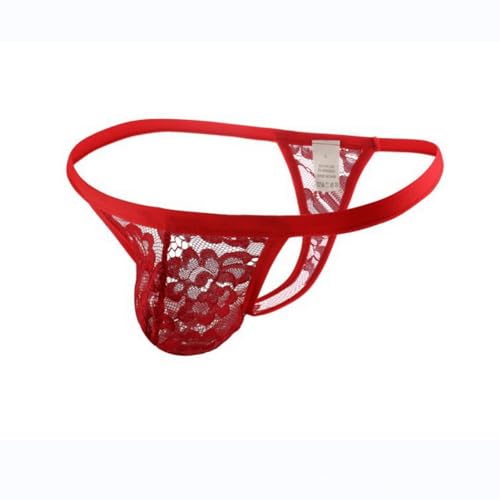 Men's Sexy Sheer Lace Underwear Transparent Floral Mesh Thong Panties Sissy Gay Bikini Lingerie2