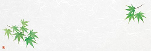 򎽊 u_a~}bg Ԗ؃V[Y ݂ 100 B-27-89