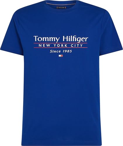 Tommy Hilfiger Men's Hilfiger Center Stack TEE MW0MW38621 S/S T-Shirt, Blue, M