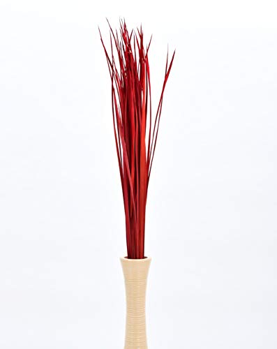 Image of Leewadee Tall Vase Filler , Natural Grass Stems - 2 Bunches of Colored Branches for Vases, Carefully Dried Twigs for Home and Bar Decoration, 45 inches, Red