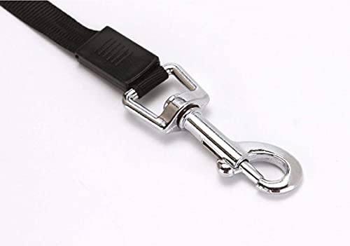 Guinzaglio retrattile ed estensibile, guinzaglio 5...