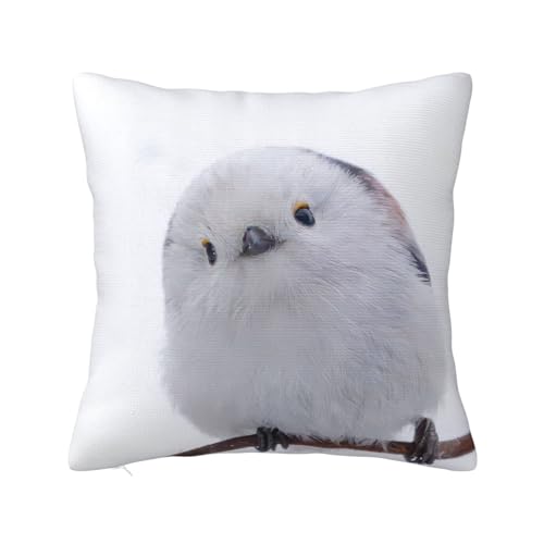 �N�b�V�����J�o�[ �V�}�G�i�K ���� ���z�c�J�o�[ �k���� ������� �ӂ�ӂ� �B���t�@�X�i�[ �R�� �h�L ����@�� �z������ ���ʃf�U�C�� �S5�T�C�Y�W�J