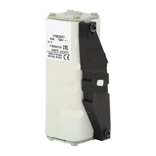 Fusible à tirer 170E3579 cartouche de sécurité courant continu 750V 100A