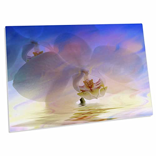 Pad para escritorio 3dRose Orquídea en Agua con Reflejo