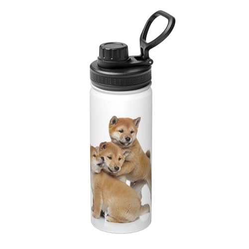 ���� �Č� �q�� ���� �}�O�{�g�� 530ml �ۗ� �ۉ� �X�|�[�c�{�g�� �X�e�����X�{�g�� ������� ���킢�� �L�� ������ �R��h�~ �n���h���t�� �􂢂₷�� �������ȒP �g�ѕ֗� �o�R�p �I�t�B�X �X�|�[�c �j�����p