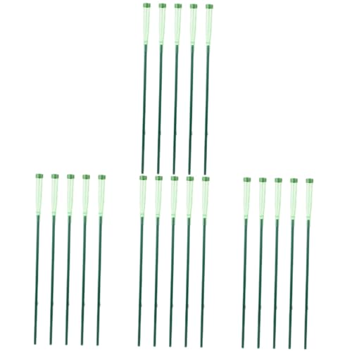 SUPVOX 20 Juegos Tubos de nutrición de Flores Piscina floristas de Alambre Plantas Lirio Balde Tubos de Agua para Flores Viales de plastico de Flores Tubo Porta Flores el plastico